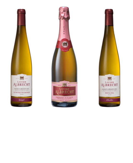 Vinolis Cellar - Explore curated wines and wine pairings