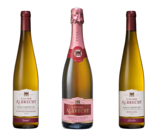 Vinolis Cellar - Explore curated wines and wine pairings